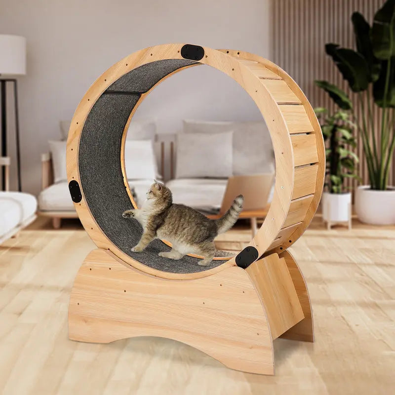 Cat Exercise Wheel 