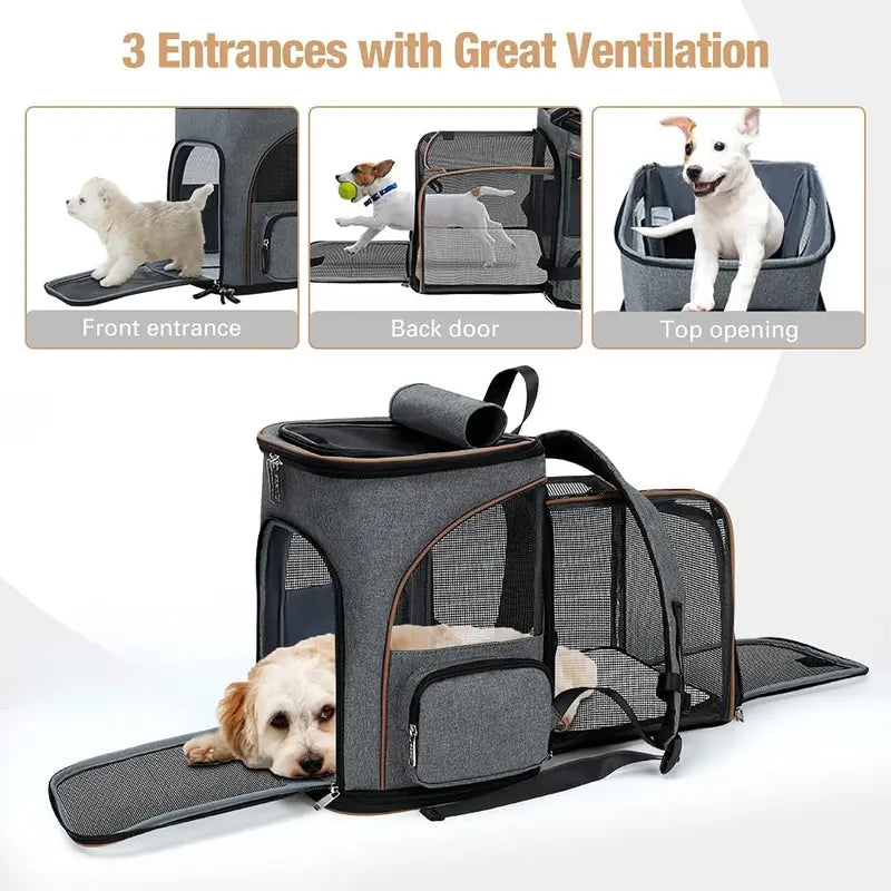 Pet Carrier Backpack E