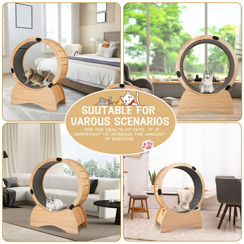 Cat Exercise Wheel 