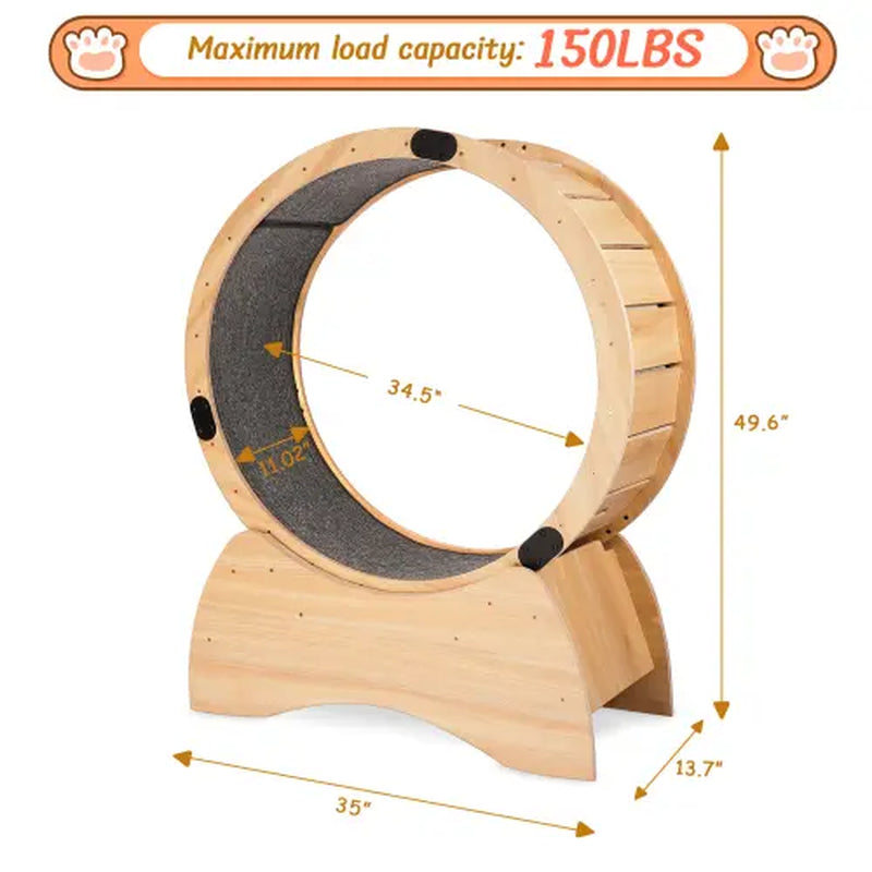 Cat Exercise Wheel 