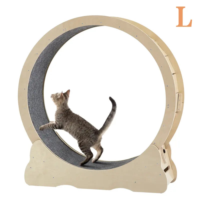 Cat Exercise Wheel 