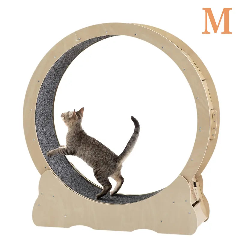 Cat Exercise Wheel 