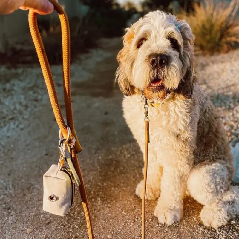 Poop Bag Holder